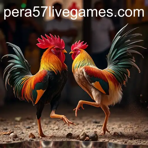 Understanding Sabong Games: Tradition Meets Modernity at Pera57